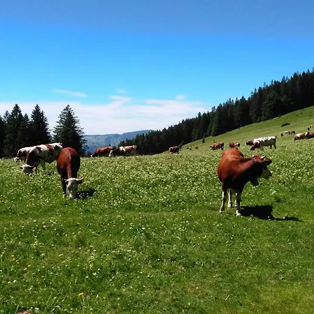 Holiday home Ferienhaus Steiert